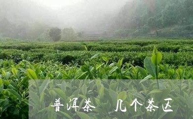 普洱茶 几个茶区/2023041276179